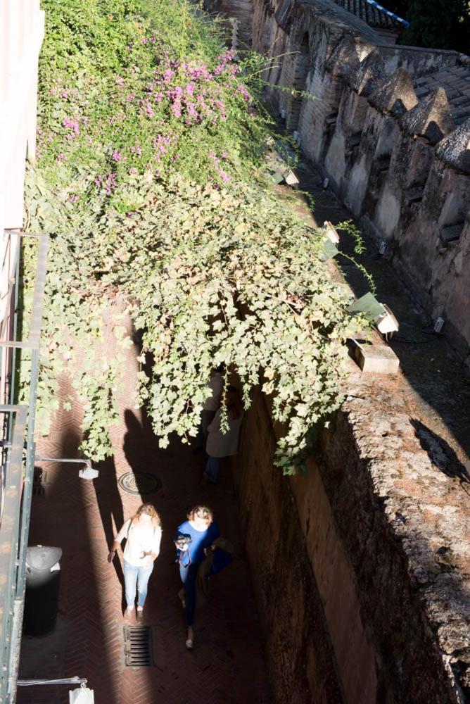 Apartamento Casa Callejon Del Agua Seville Luaran gambar